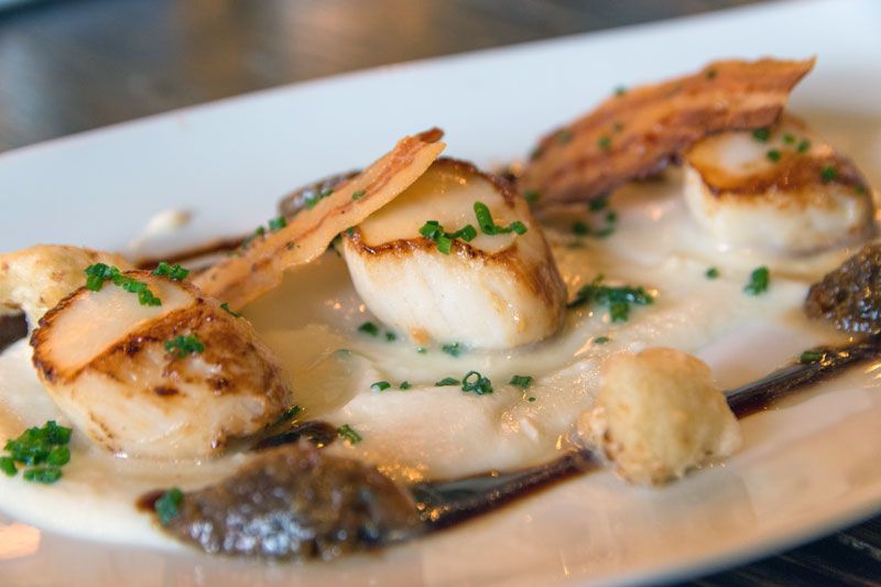 Fresh Atlantic scallops being plated up